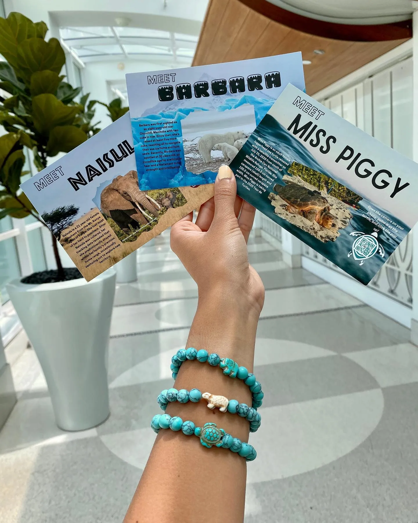 Fahlo Wildlife Tracking Bracelets- Elephant