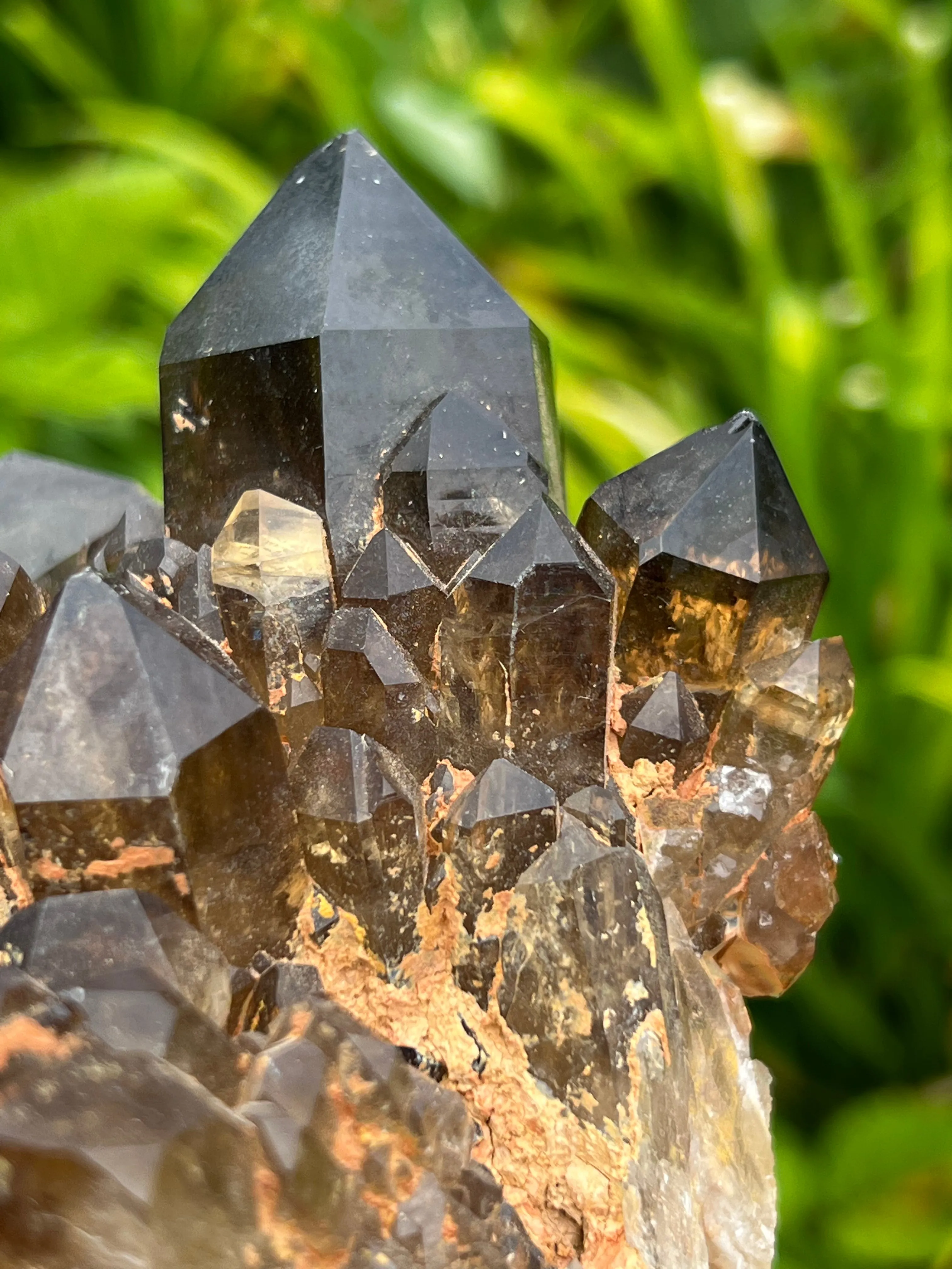 Giant Self-Standing Golden Kundalini Quartz Citrine, Democratic Republic of Congo, Lwena, Congo Citrine