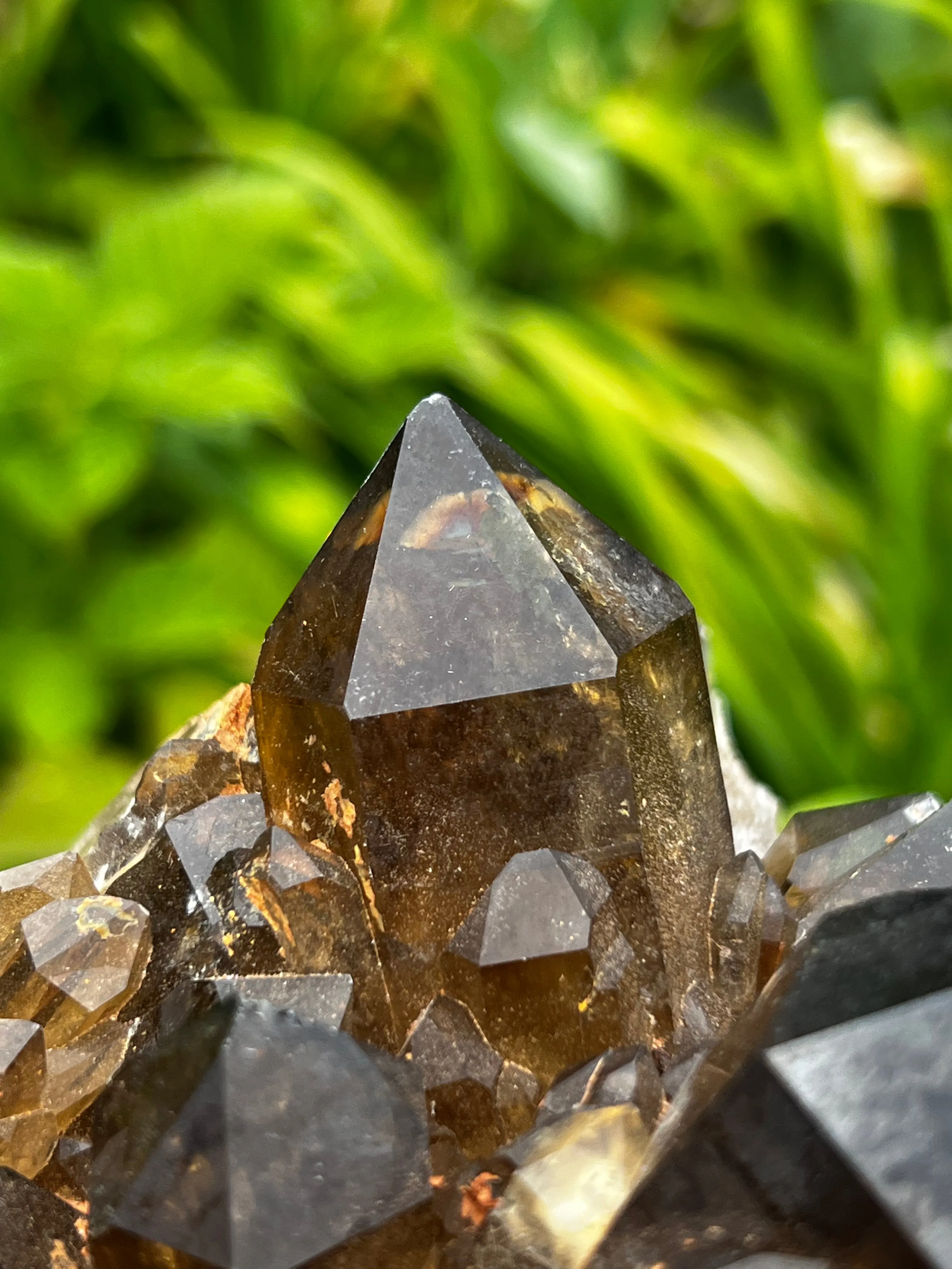 Giant Self-Standing Golden Kundalini Quartz Citrine, Democratic Republic of Congo, Lwena, Congo Citrine